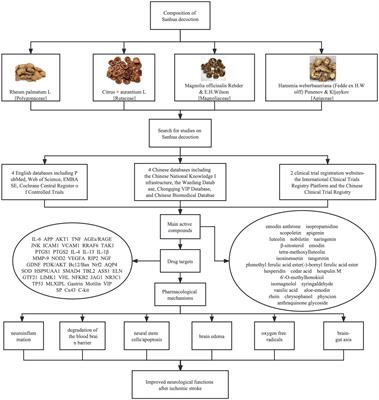 Sanhua decoction: Current understanding of a traditional herbal recipe for stroke